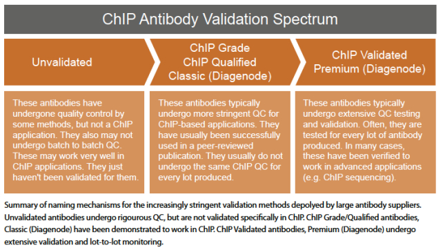 ChIP Antibody Validation Spectrum