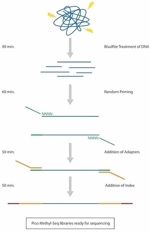pico methylseq