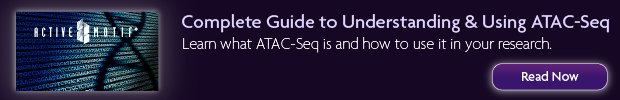 am-atacseq-banner-2021png