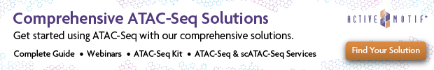 am-atacseq-solutions-banner-2021png