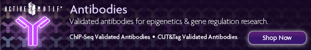 am-antibody-banner-2021png