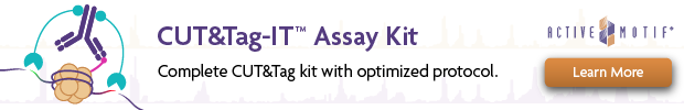 am-cuttag-kit-banner-2021png