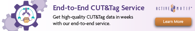 am-cuttag-service-banner-2021png