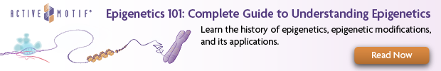 am-epigenetics101-banner-2021png