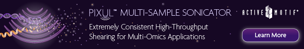 am-pixul-banner-2021png