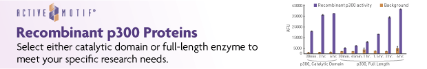 epigenie-p300-v2png